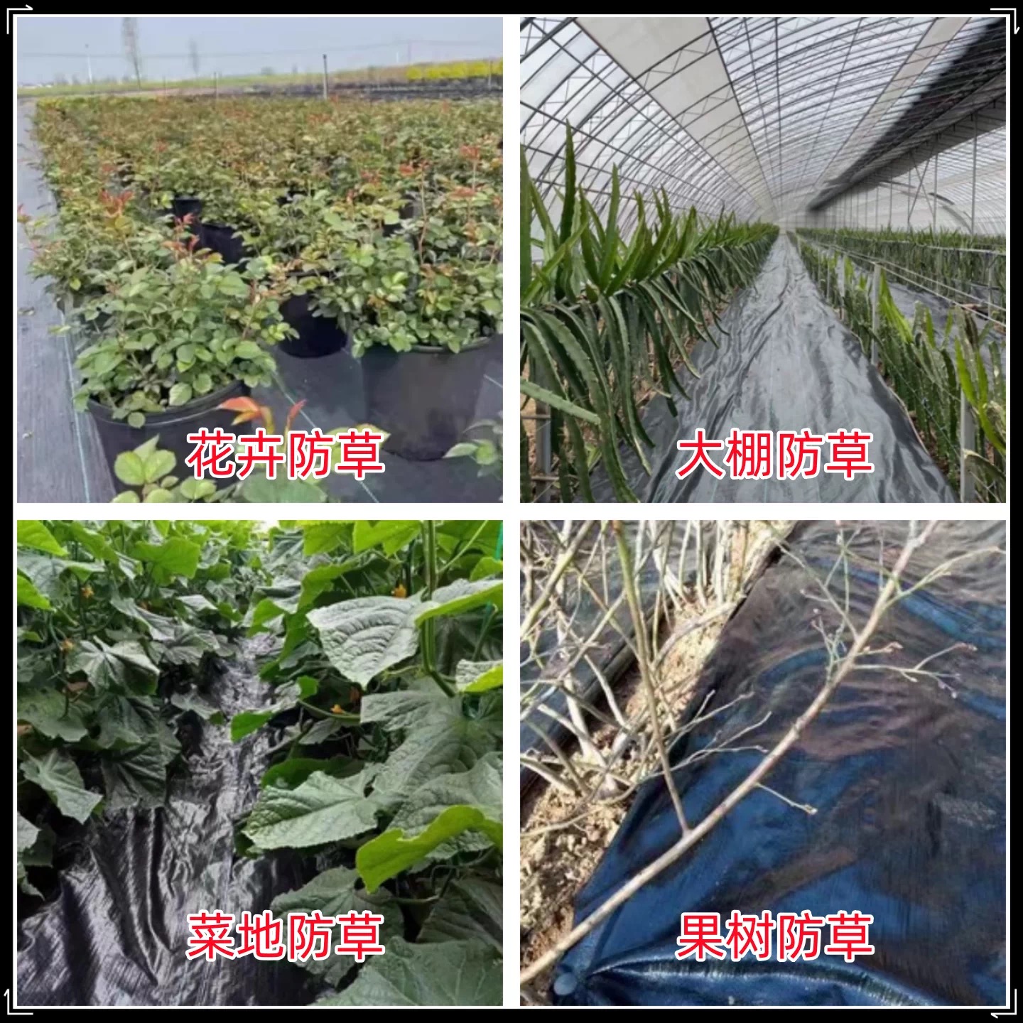 吕梁市塑料薄膜防草布 - 方案